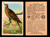 Birds - Useful Birds of America 6th Series You Pick Singles Church & Dwight J-9 #12 Mourning Dove  - TvMovieCards.com