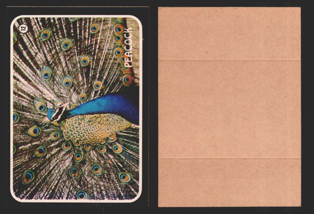 Zoo's Who Topps Animal Sticker Trading Cards You Pick Singles #1-40 1975 #12 Peacock  - TvMovieCards.com