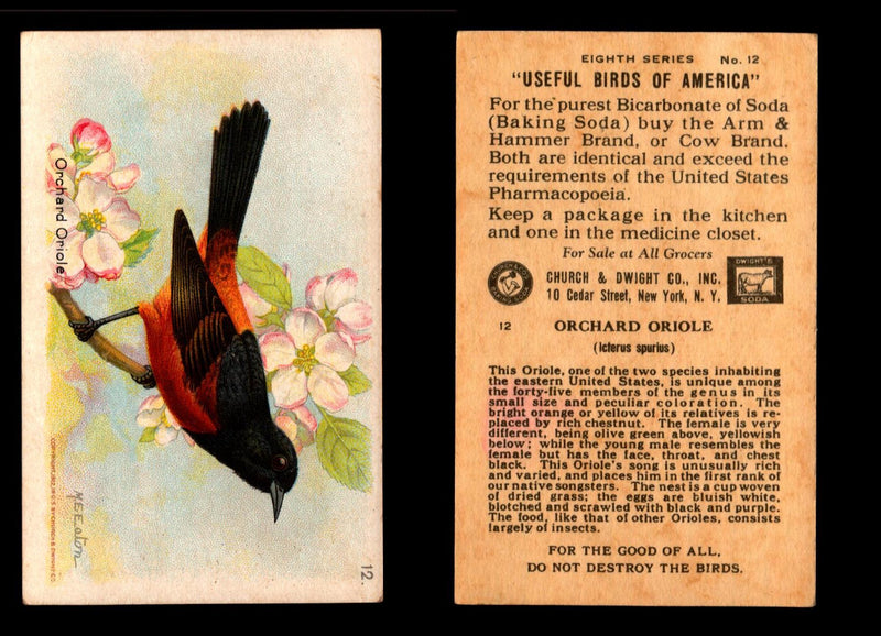 Birds - Useful Birds of America 8th Series You Pick Singles Church & Dwight J-9 #12 Orchard Oriole  - TvMovieCards.com
