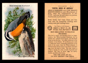 Birds - Useful Birds of America 10th Series You Pick Singles Church & Dwight J-9 #12 Red-breasted Nuthatch  - TvMovieCards.com