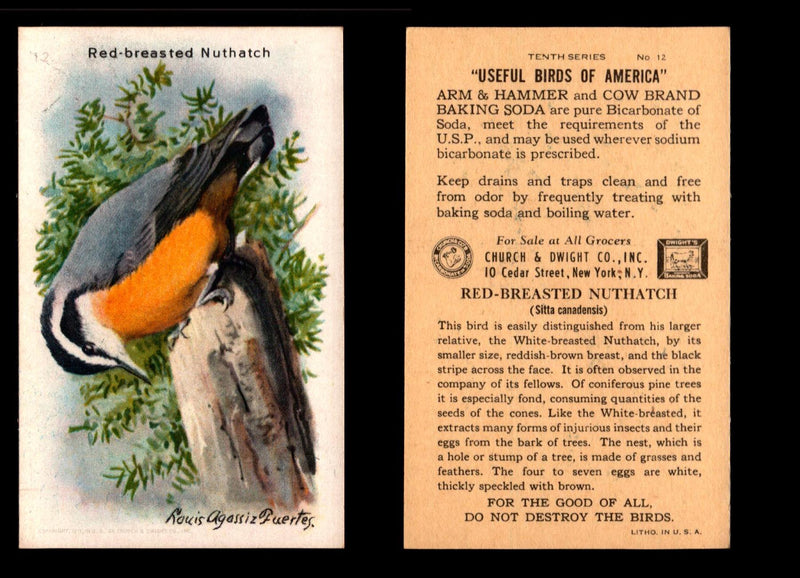 Birds - Useful Birds of America 10th Series You Pick Singles Church & Dwight J-9 #12 Red-breasted Nuthatch  - TvMovieCards.com
