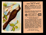 Birds - Useful Birds of America 5th Series You Pick Singles Church & Dwight J-9 #12 Black-billed Cuckoo  - TvMovieCards.com