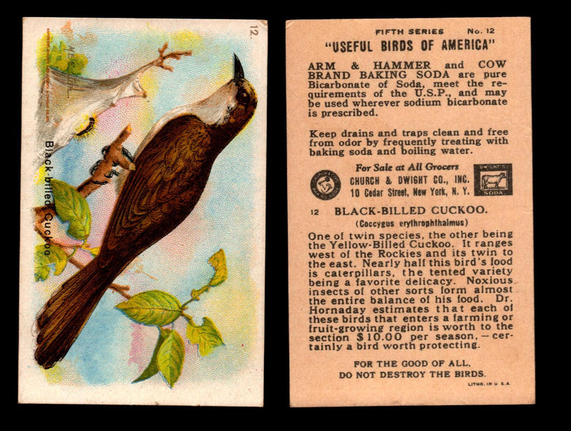 Birds - Useful Birds of America 5th Series You Pick Singles Church & Dwight J-9 #12 Black-billed Cuckoo  - TvMovieCards.com