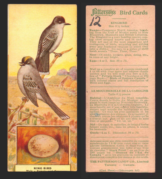 1924 Patterson's Bird Chocolate Vintage Trading Cards U Pick Singles #1-46 12 Kingbird  - TvMovieCards.com