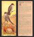 1924 Patterson's Bird Chocolate Vintage Trading Cards U Pick Singles #1-46 12 Kingbird  - TvMovieCards.com