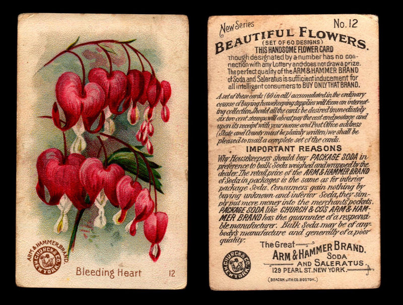 Beautiful Flowers New Series You Pick Singles Card #1-#60 Arm & Hammer 1888 J16 #12 Bleeding Heart  - TvMovieCards.com