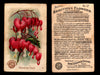 Beautiful Flowers New Series You Pick Singles Card #1-#60 Arm & Hammer 1888 J16 #12 Bleeding Heart  - TvMovieCards.com