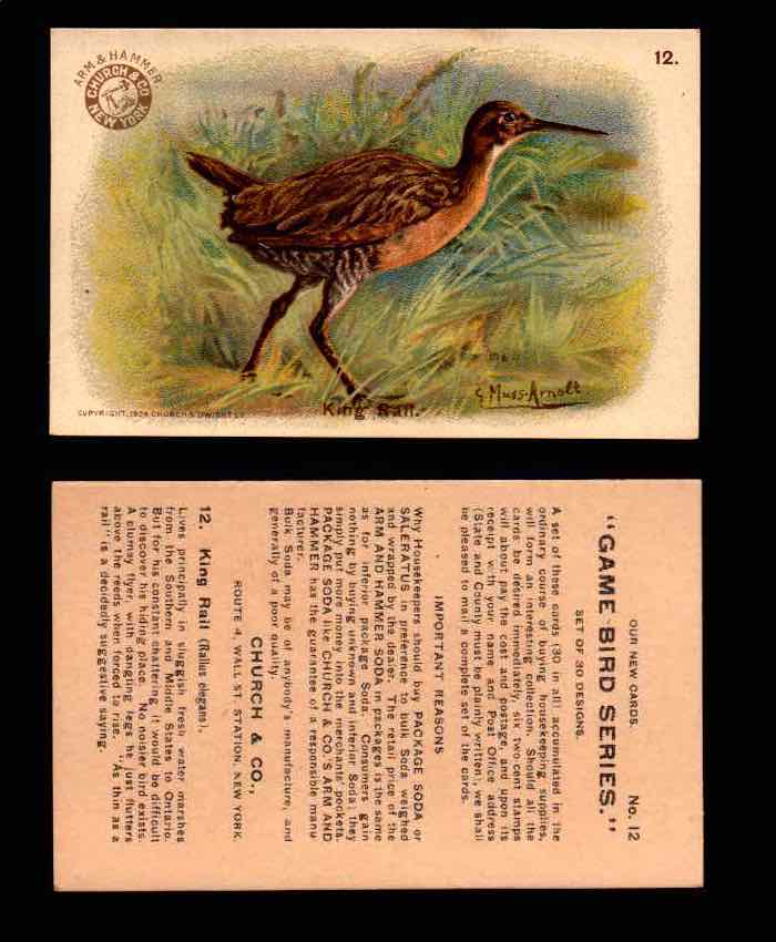 1904 Arm & Hammer Game Bird Series Vintage Trading Cards Singles #1-30 #12 King Rail  - TvMovieCards.com