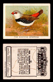 1923 Birds, Beasts, Fishes C1 Imperial Tobacco Vintage Trading Cards Singles #12 The Diamond Sparrow  - TvMovieCards.com