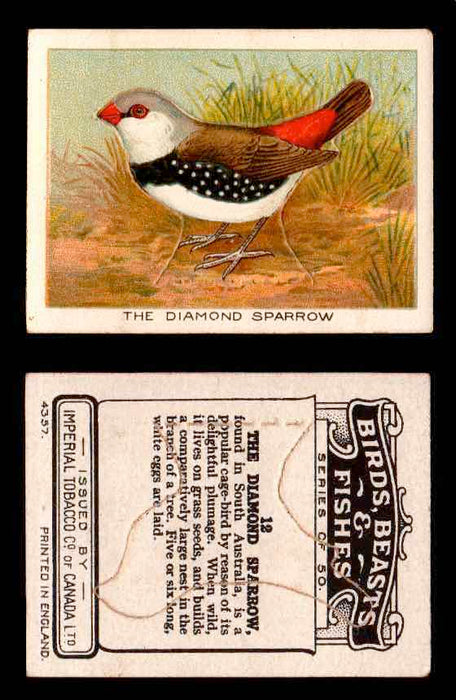 1923 Birds, Beasts, Fishes C1 Imperial Tobacco Vintage Trading Cards Singles #12 The Diamond Sparrow  - TvMovieCards.com