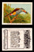1923 Birds, Beasts, Fishes C1 Imperial Tobacco Vintage Trading Cards Singles #13 The Laminated Hill-Toucan  - TvMovieCards.com