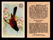 Birds - Useful Birds of America 3rd Series You Pick Singles Church & Dwight J-7 #13 Orchard Oriole  - TvMovieCards.com