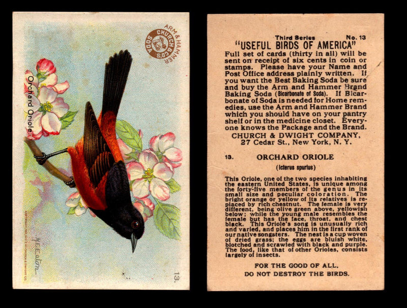 Birds - Useful Birds of America 3rd Series You Pick Singles Church & Dwight J-7 #13 Orchard Oriole  - TvMovieCards.com
