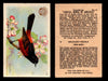 Birds - Useful Birds of America 3rd Series You Pick Singles Church & Dwight J-7 #13 Orchard Oriole  - TvMovieCards.com