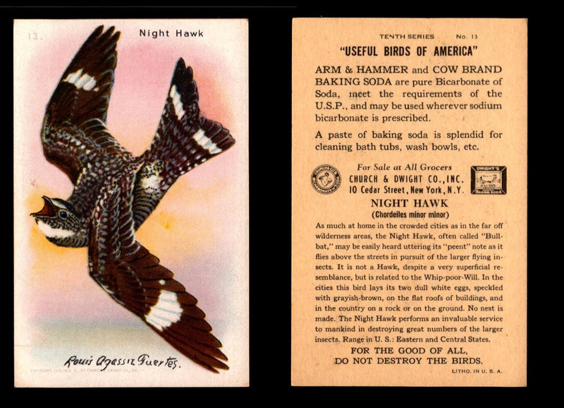 Birds - Useful Birds of America 10th Series You Pick Singles Church & Dwight J-9 #13 Night Hawk  - TvMovieCards.com