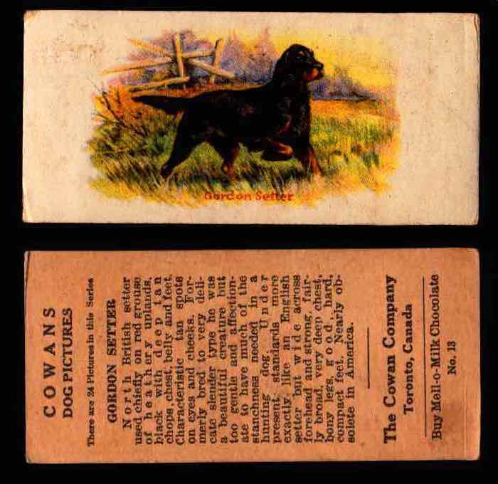 1929 V13 Cowans Dog Pictures Vintage Trading Cards You Pick Singles #1-24 #13 Gordon Setter  - TvMovieCards.com