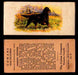 1929 V13 Cowans Dog Pictures Vintage Trading Cards You Pick Singles #1-24 #13 Gordon Setter  - TvMovieCards.com