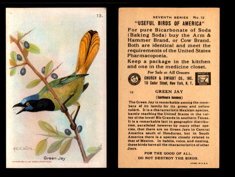 Birds - Useful Birds of America 7th Series You Pick Singles Church & Dwight J-9 #13 Green Jay  - TvMovieCards.com
