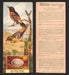 1924 Patterson's Bird Chocolate Vintage Trading Cards U Pick Singles #1-46 13 Baltimore Oriole  - TvMovieCards.com