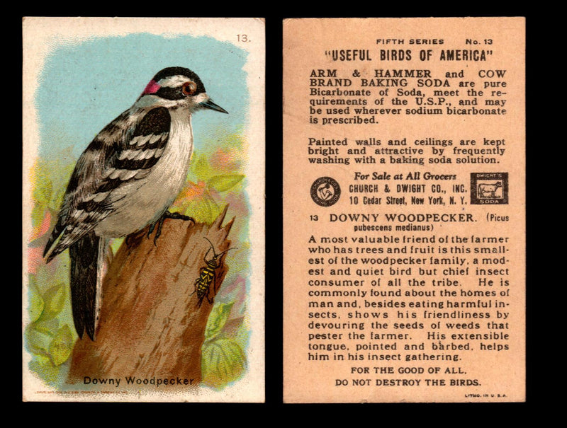 Birds - Useful Birds of America 5th Series You Pick Singles Church & Dwight J-9 #13 Downy Woodpecker  - TvMovieCards.com