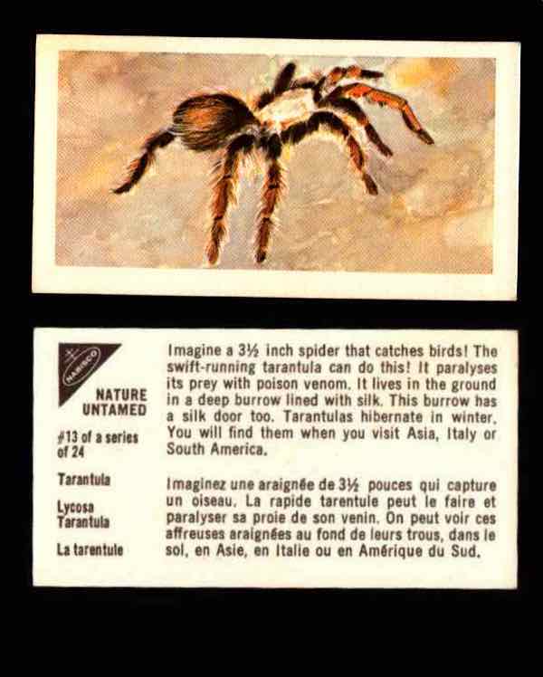 Nature Untamed Nabisco Vintage Trading Cards You Pick Singles #1-24 #13 Tarantula  - TvMovieCards.com