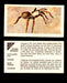 Nature Untamed Nabisco Vintage Trading Cards You Pick Singles #1-24 #13 Tarantula  - TvMovieCards.com