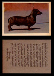 1957 Dogs Premiere Oak Man. R-724-4 Vintage Trading Cards You Pick Singles #1-42 #13 Dachshund  - TvMovieCards.com