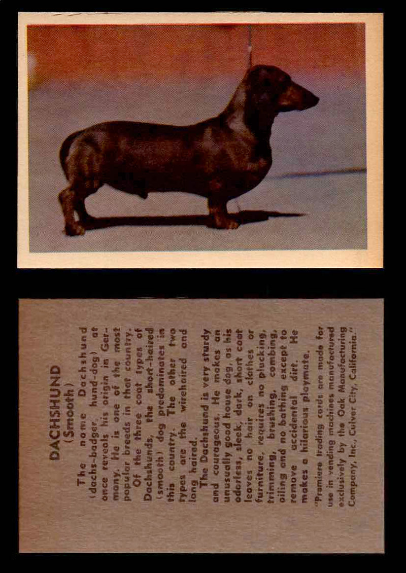 1957 Dogs Premiere Oak Man. R-724-4 Vintage Trading Cards You Pick Singles #1-42 #13 Dachshund  - TvMovieCards.com