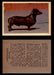 1957 Dogs Premiere Oak Man. R-724-4 Vintage Trading Cards You Pick Singles #1-42 #13 Dachshund  - TvMovieCards.com