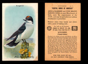 Birds - Useful Birds of America 9th Series You Pick Singles Church & Dwight J-9 #13 Eastern Kingbird  - TvMovieCards.com