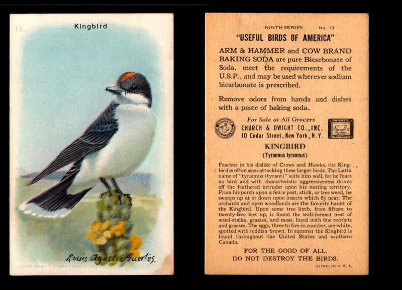 Birds - Useful Birds of America 9th Series You Pick Singles Church & Dwight J-9 #13 Eastern Kingbird  - TvMovieCards.com