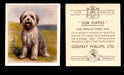 1936 Godfrey Phillips "Our Puppies" Tobacco You Pick Singles Trading Cards #1-30 #13 Old English Sheep Dog  - TvMovieCards.com