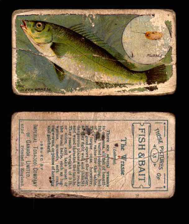 1910 Fish and Bait Imperial Tobacco Vintage Trading Cards You Pick Singles #1-50 #13 The Wrasse  - TvMovieCards.com