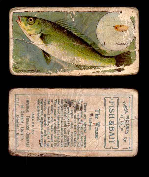 1910 Fish and Bait Imperial Tobacco Vintage Trading Cards You Pick Singles #1-50 #13 The Wrasse  - TvMovieCards.com