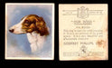 1939 Godfrey Phillips "Our Dogs" Tobacco You Pick Singles Trading Cards #1-30 #13 The Borzoi  - TvMovieCards.com