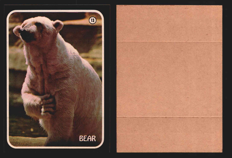 Zoo's Who Topps Animal Sticker Trading Cards You Pick Singles #1-40 1975 #13 Bear  - TvMovieCards.com