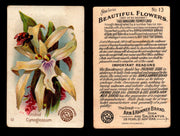 Beautiful Flowers New Series You Pick Singles Card #1-#60 Arm & Hammer 1888 J16 #13 Orchid - Cynoglossum  - TvMovieCards.com
