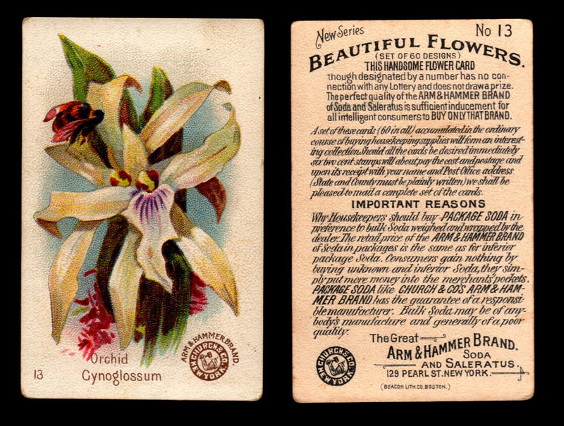 Beautiful Flowers New Series You Pick Singles Card #1-#60 Arm & Hammer 1888 J16 #13 Orchid - Cynoglossum  - TvMovieCards.com
