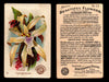Beautiful Flowers New Series You Pick Singles Card #1-#60 Arm & Hammer 1888 J16 #13 Orchid - Cynoglossum  - TvMovieCards.com