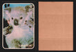 Zoo's Who Topps Animal Sticker Trading Cards You Pick Singles #1-40 1975 #14 Koala Bear #1  - TvMovieCards.com