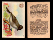 Birds - Useful Birds of America 3rd Series You Pick Singles Church & Dwight J-7 #14 Phoebe  - TvMovieCards.com