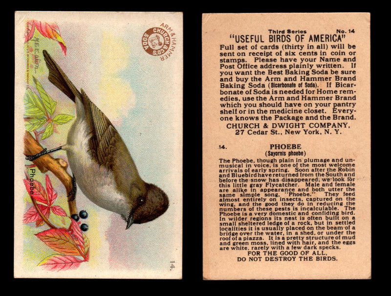 Birds - Useful Birds of America 3rd Series You Pick Singles Church & Dwight J-7 #14 Phoebe  - TvMovieCards.com