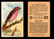 Birds - Useful Birds of America 8th Series You Pick Singles Church & Dwight J-9 #14 Purple Finch  - TvMovieCards.com