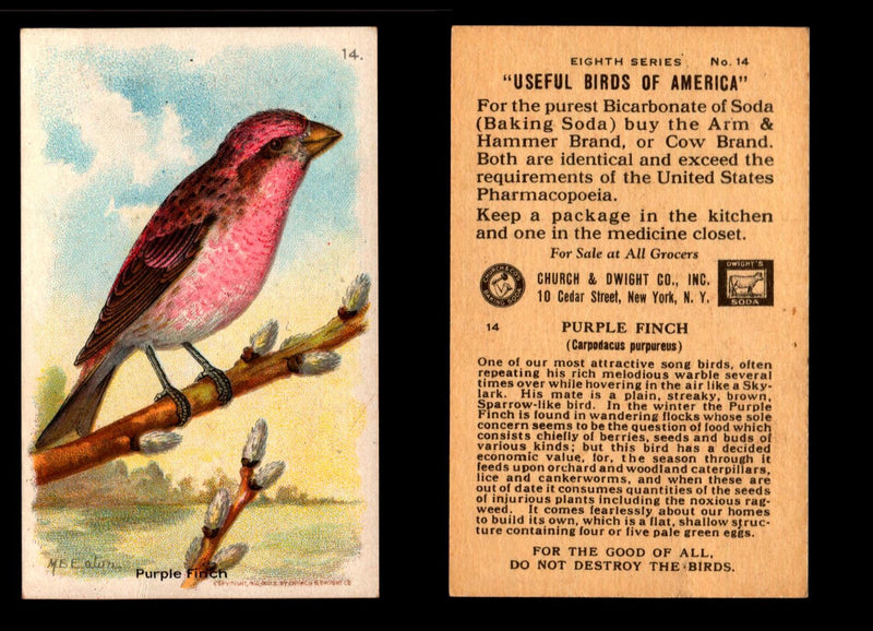 Birds - Useful Birds of America 8th Series You Pick Singles Church & Dwight J-9 #14 Purple Finch  - TvMovieCards.com