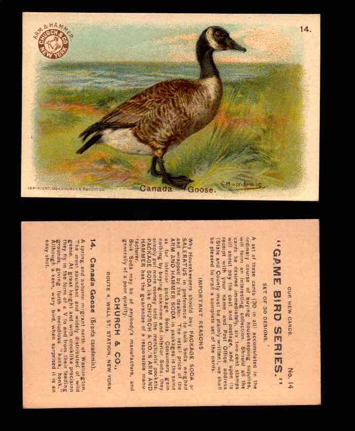 1904 Arm & Hammer Game Bird Series Vintage Trading Cards Singles #1-30 #14 Canada Goose  - TvMovieCards.com
