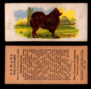 1929 V13 Cowans Dog Pictures Vintage Trading Cards You Pick Singles #1-24 #14 Pomeranian  - TvMovieCards.com