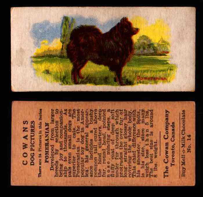 1929 V13 Cowans Dog Pictures Vintage Trading Cards You Pick Singles #1-24 #14 Pomeranian  - TvMovieCards.com