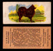 1929 V13 Cowans Dog Pictures Vintage Trading Cards You Pick Singles #1-24 #14 Pomeranian  - TvMovieCards.com