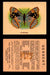 1925 Harry Horne Butterflies FC2 Vintage Trading Cards You Pick Singles #1-50 #14  - TvMovieCards.com