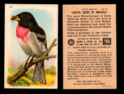 Birds - Useful Birds of America 6th Series You Pick Singles Church & Dwight J-9 #14 Rose-breasted Grosbeak  - TvMovieCards.com